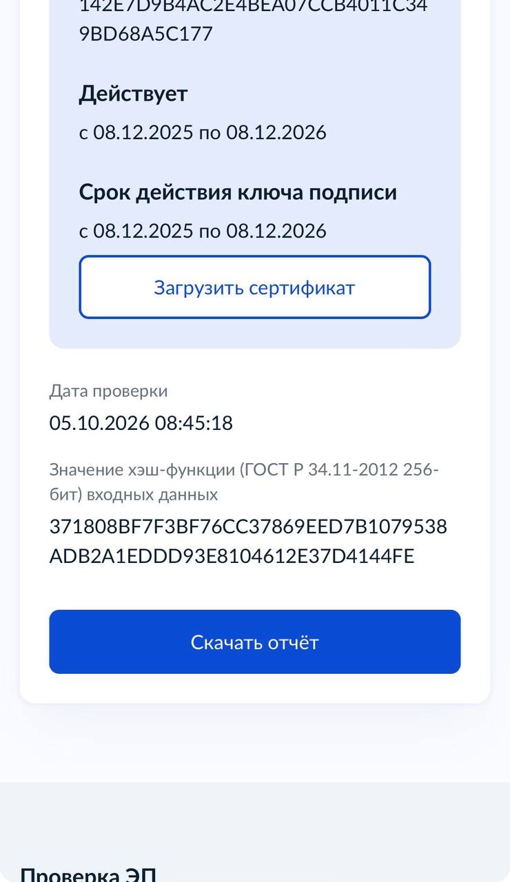 Внизу страницы результата — кнопка «Скачать отчёт»